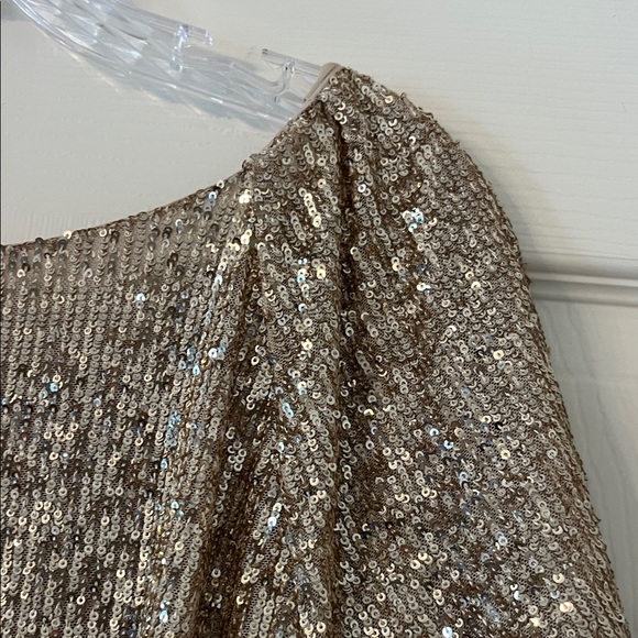 Ann Taylor Gold Sequin Blouse never worn size L - Picture 5 of 6